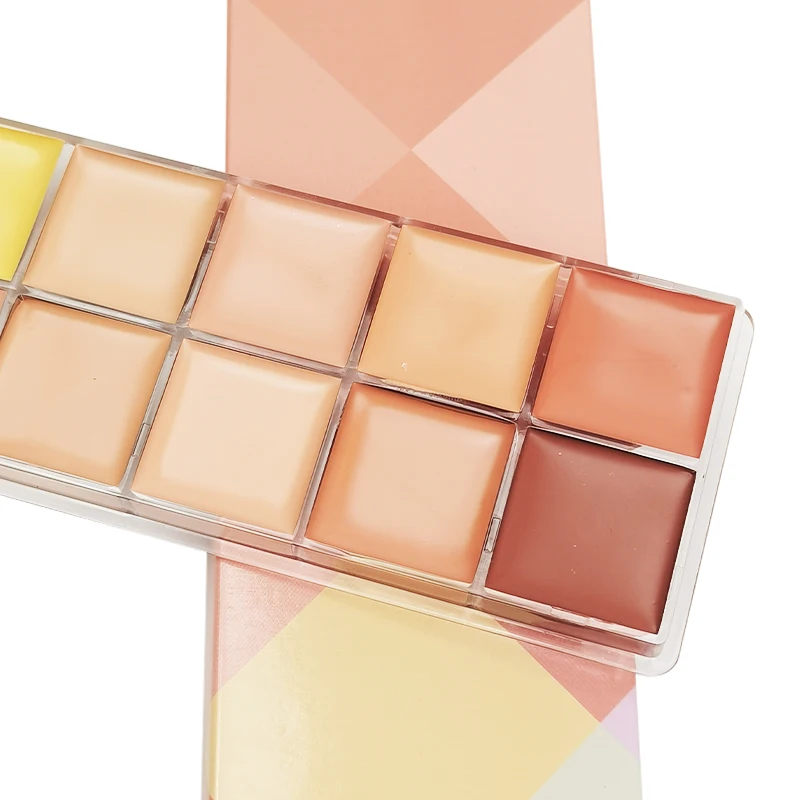 Hot Selling Private Label Customized Waterproof Cream Pigmented 12 Colors Makeup Concealer Palette High lighter Long Lasting