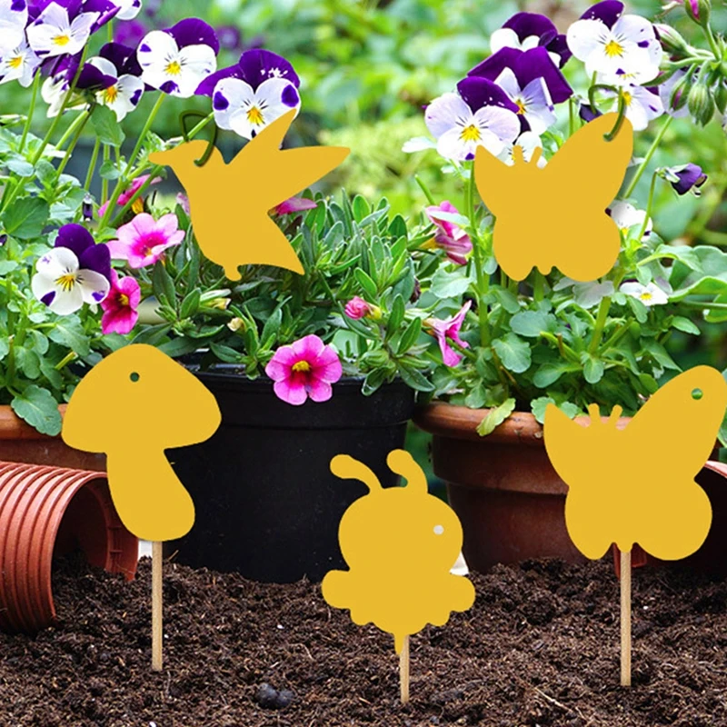 Sticky Traps  (16).jpg