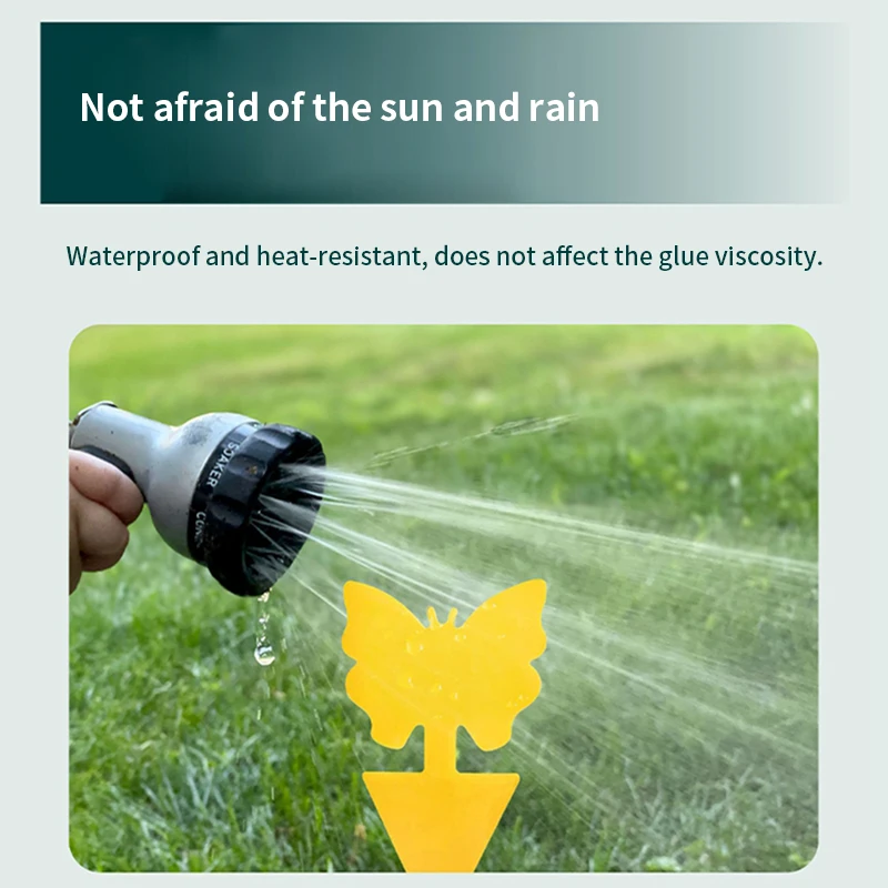 Sticky Traps  (4).jpg