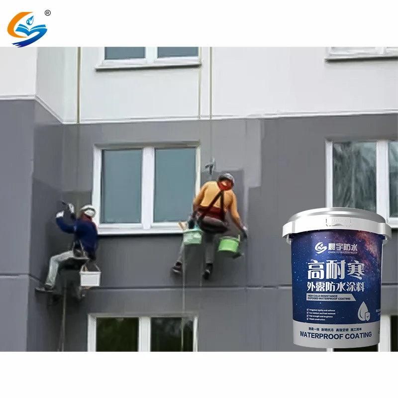 Best Powder and Liquid High Cold-Resistant Antifungal Waterstop Waterproof Non Toxic Insulation Coating Paint Spray for Roof