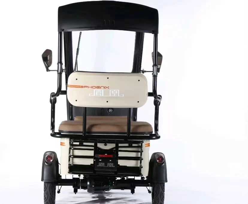 Phoenix OA 60 days 3 Wheel Passenger Electric Bike Tricycle Electric Scooter Roof Adults Tour Electric Tricycle tricycles