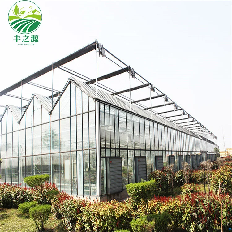 The Cheapest Hot Sale Agricultural Glass Greenhouse Green House For Vegetables