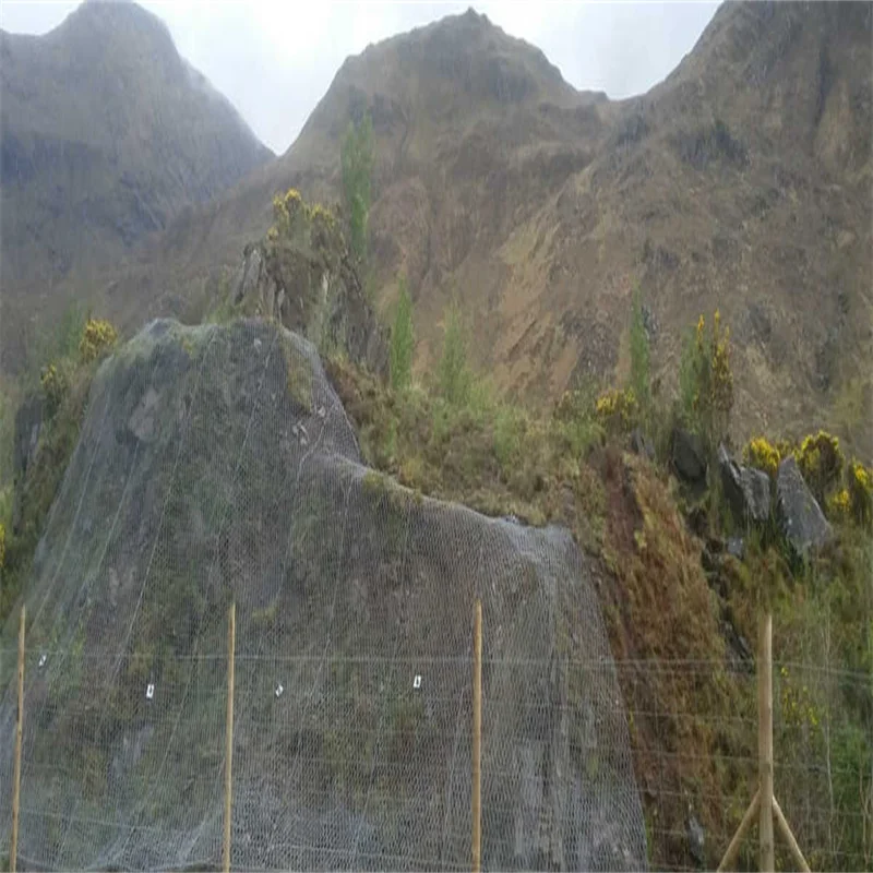 Galvanized Rockfall Barrier Mesh/Slope Protection Net/Stone Falling Protective Netting