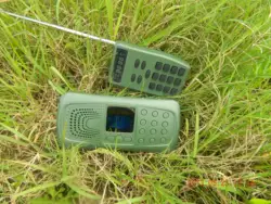 Hunter mp3 player with quail crow duck pigeon sounds/downloads bird sound