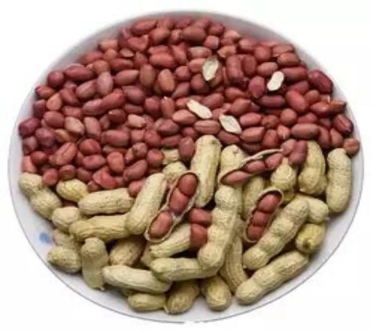 Новый Урожай органических красных арахисовых семян с высоким содержанием белка, китайская цена, большое содержание масла, арахис, арахисовые ядра в скорлупе, жареный арахис