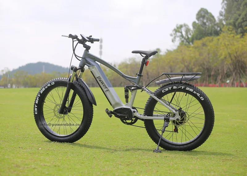 48V 15Ah Lithium Battery Electric Fat Bike 1000W Weldless Aluminum Frame Powerul E Bike
