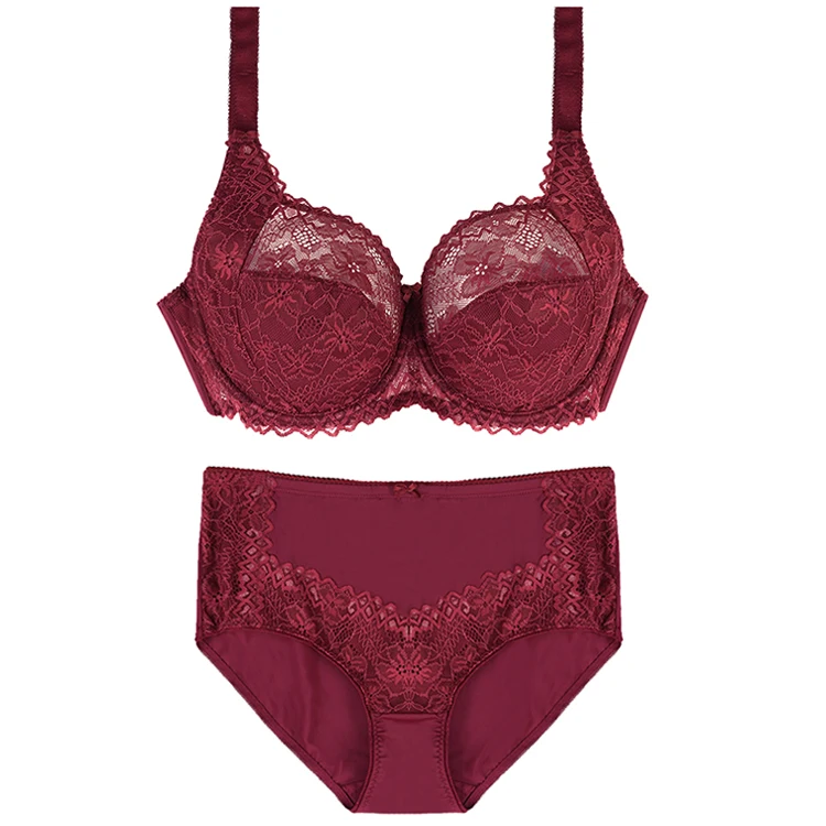 Hipster Women Lace Bra and Panty Sets Lingerie E Cup Big Fat Sexy Transparent Underwear Plus Size Bra Briefs Sets