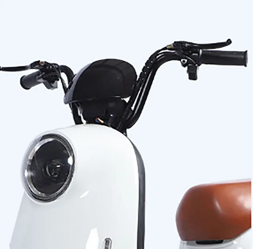 Battery Folding Motor For 36V 250W Charger 3 People With Internal 2000 Lumen Light 24V 20Ah 1500W Dual Ebike Electric Bicycle