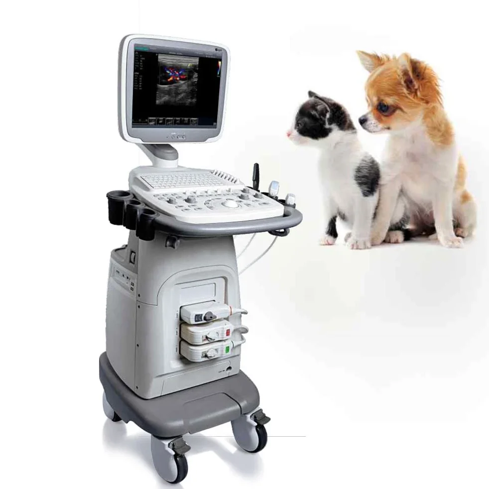 Sonoscape S11V CE утвержденный мобильный ультразвуковой ветеринарный цветной Доплер ультразвуковой
