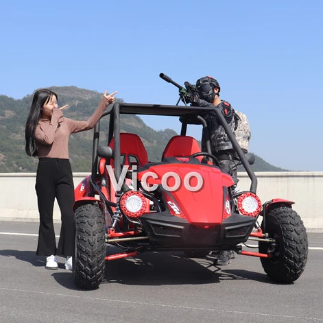 200cc off Road Go Kart Crazy Drift Cart