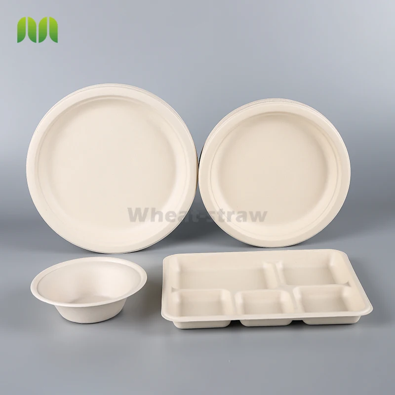 Hot Selling Fast Delivery platos desechables takeaway plateau disposable plates food tray bagasse sushi tray tableware