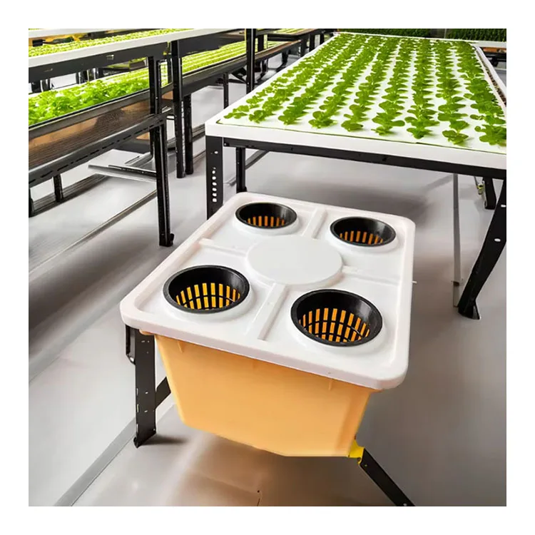 Factory direct sale PP material square planting Dutch barrel for large tomato planting