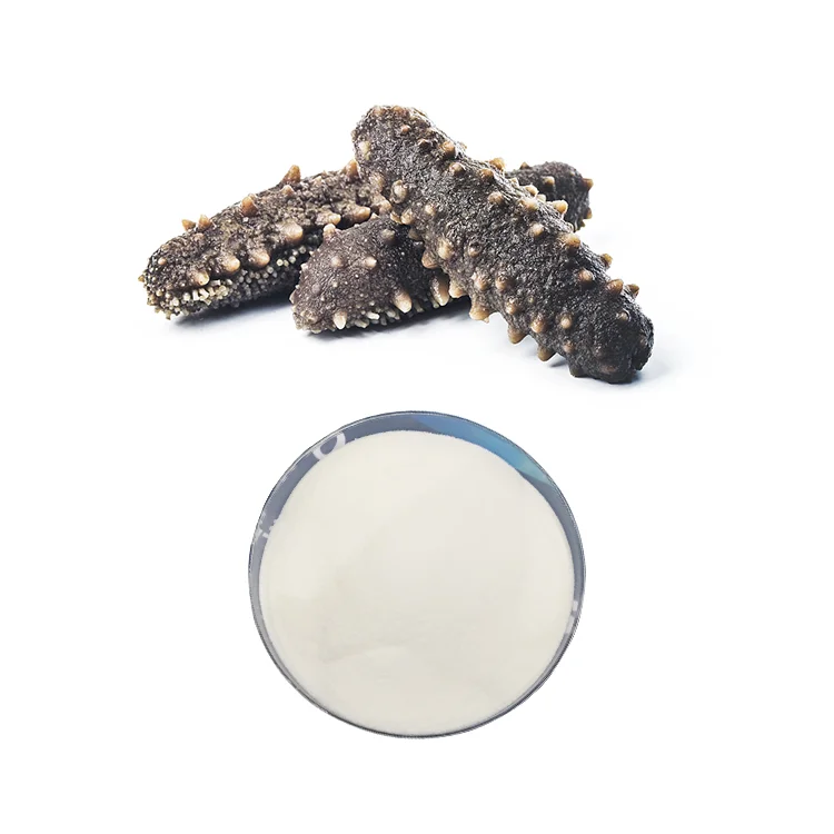 Animal Collagen Supplies Sea Cucumber Extract Peptide Holothurian Collagen Powder for Beauty Skin