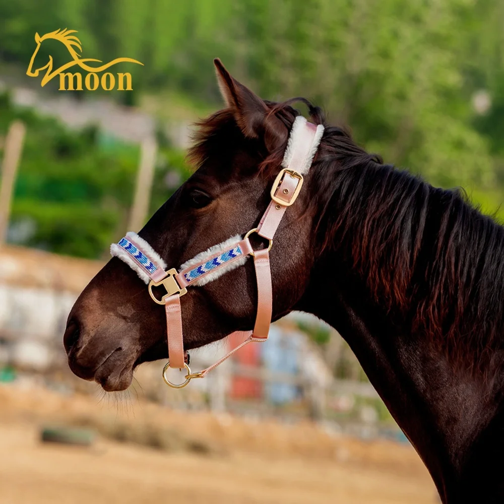 Wholesale Equestrian Products Hors Halters Set Customized LOGO Style Nylon Combo Accept Material Origin Place Model Offered