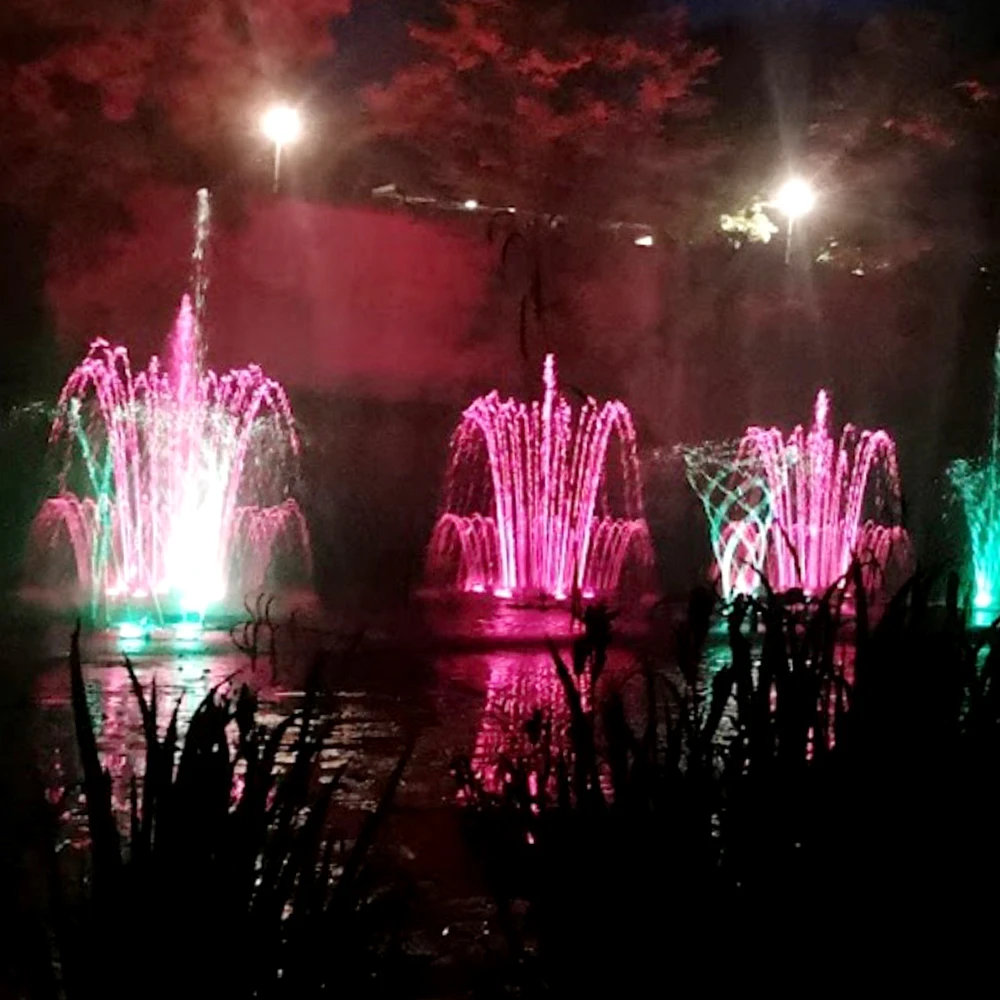 AWS Best Price Programmable Fountain New Design Colorful Music Fountain With Rgb Lights