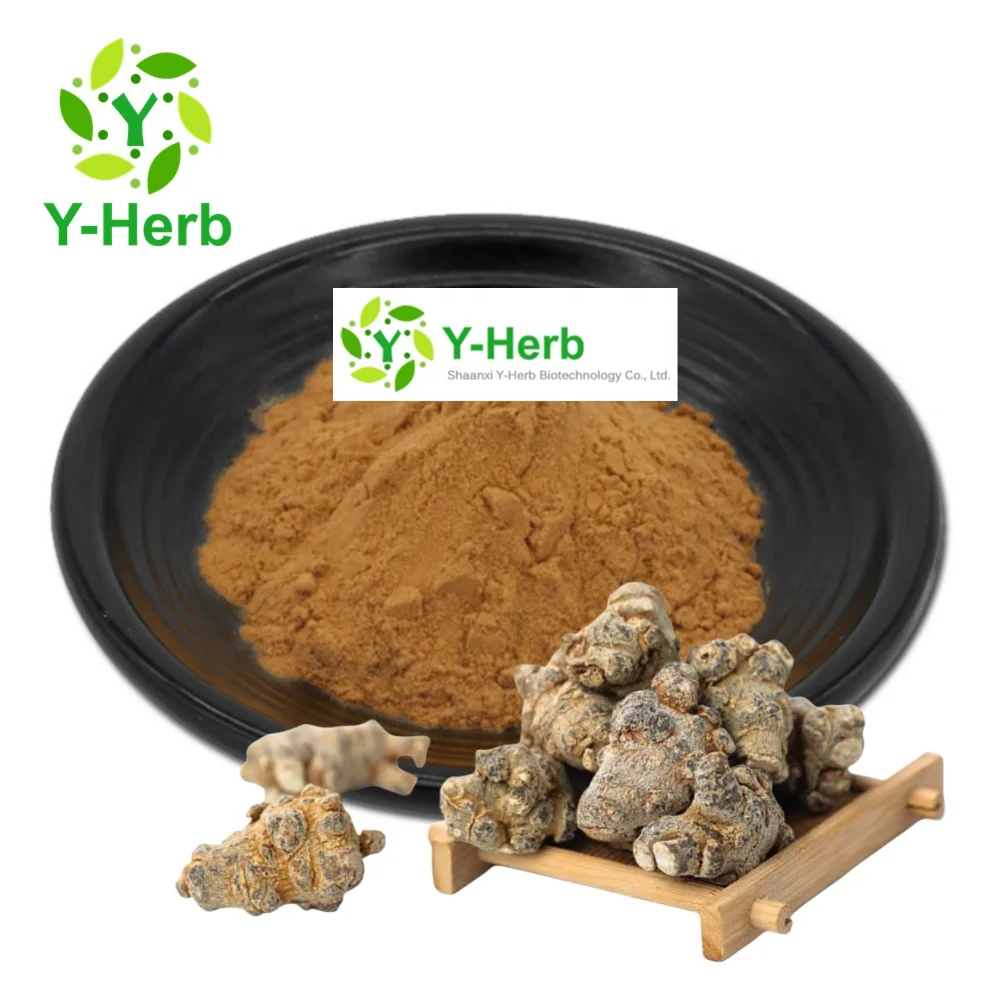 100% Pure Natural Sanqi San Qi Sanchi Panax Notoginseng Root/Leaf/Flower Extract