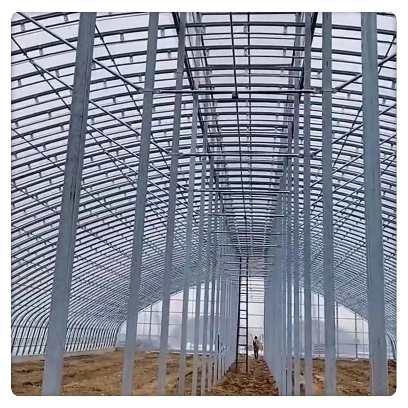 Large Single Span Agricultural Tunnel Greenhouse with Arch Roof Low Cost Steel and Plastic Film Material for Plant Usage