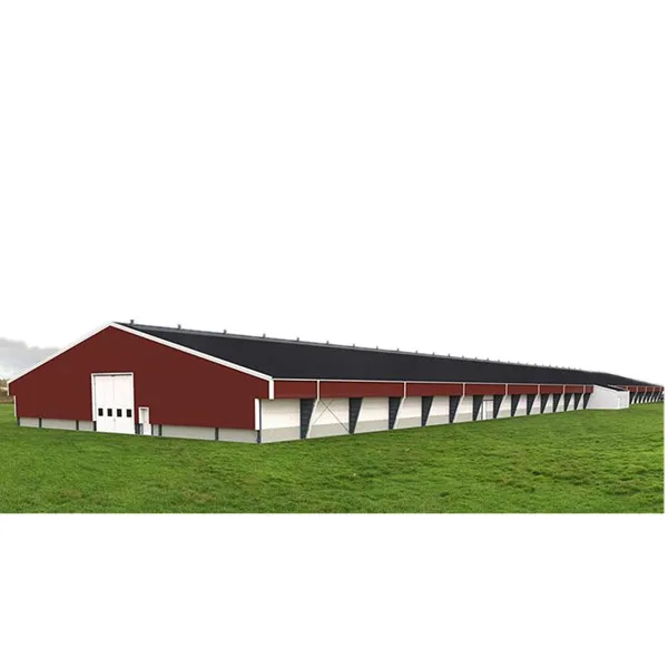 Low Structure Frame Poultry Farm Building Chicken House Shed In Malaysia