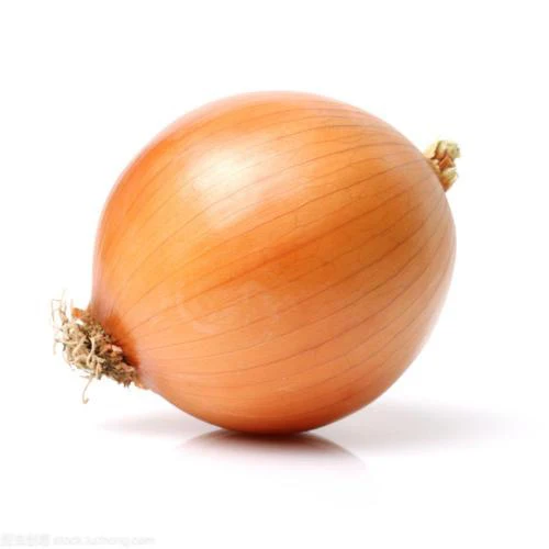 Wholesale 5-7/6-8/8-10/10-12cm Bulk Fresh China Red Onions Farming Exporters