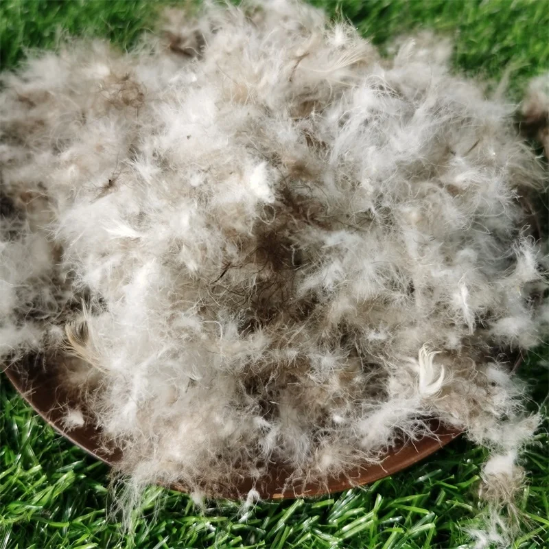 High Filling Power Wholesale Soft Natural Washed Raw Material 95% Grey Feather Duck Down for Pillow Quilt