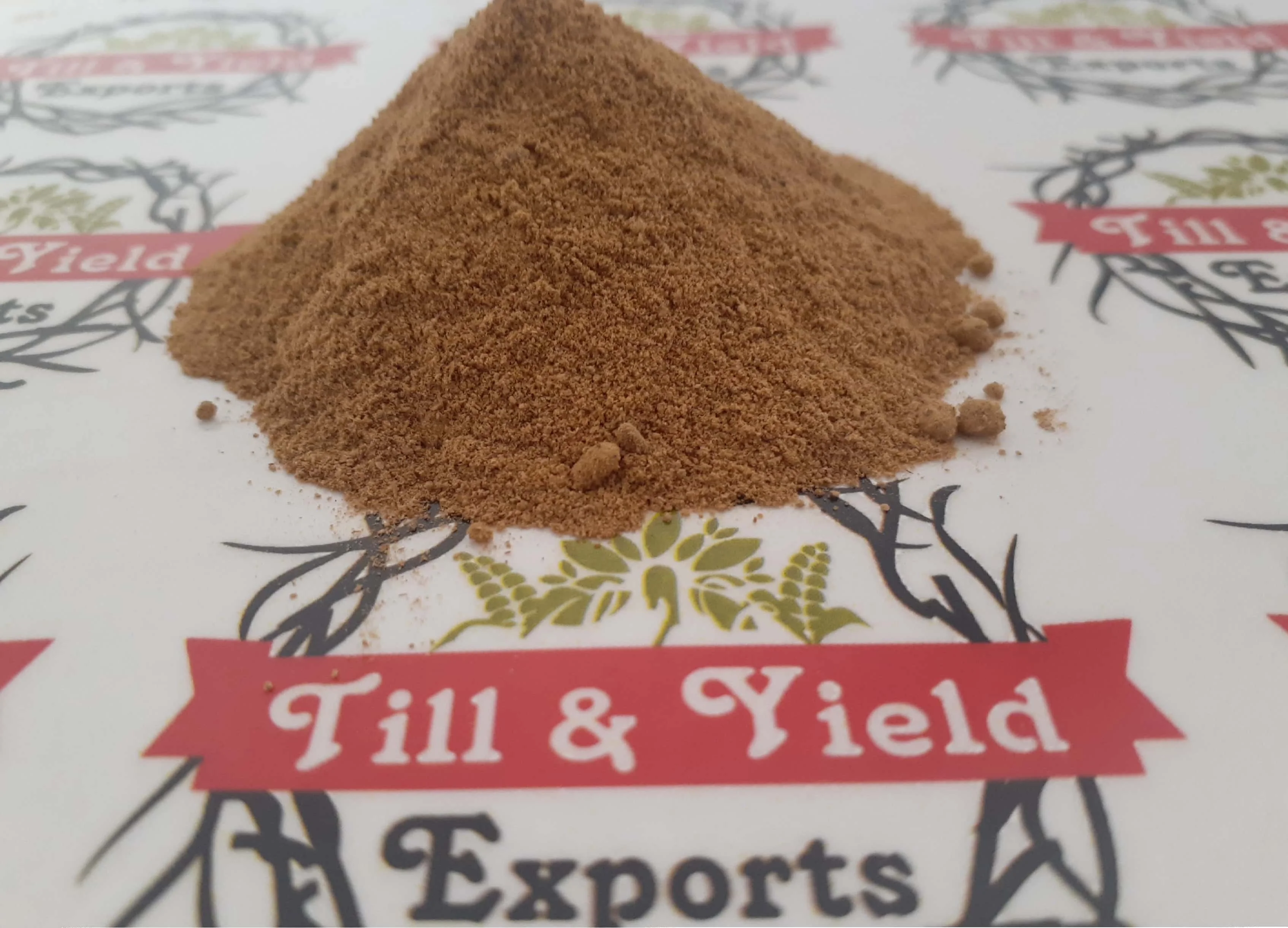 High Quality Natural Organic Ginger Extract Powder 1% by HPCL Ginger Root Extract Powder