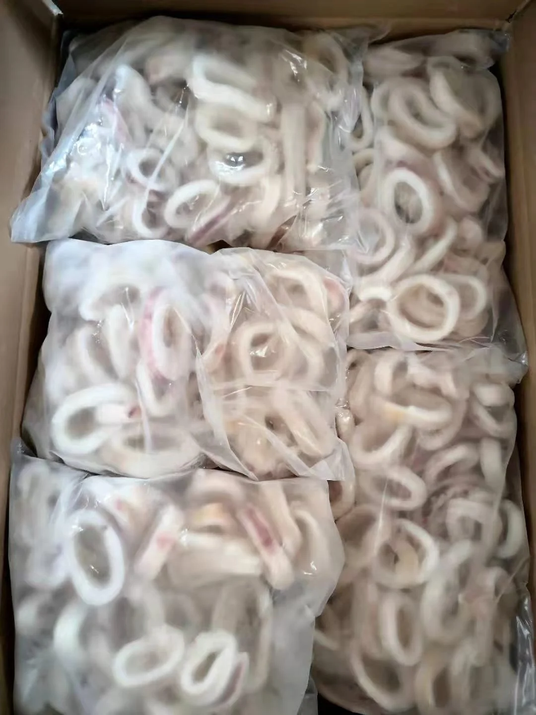 Frozen Squid Ring With Skin on Giant Peru Calamari Rings Crumb Todarodes Gigas IQF/BQF White