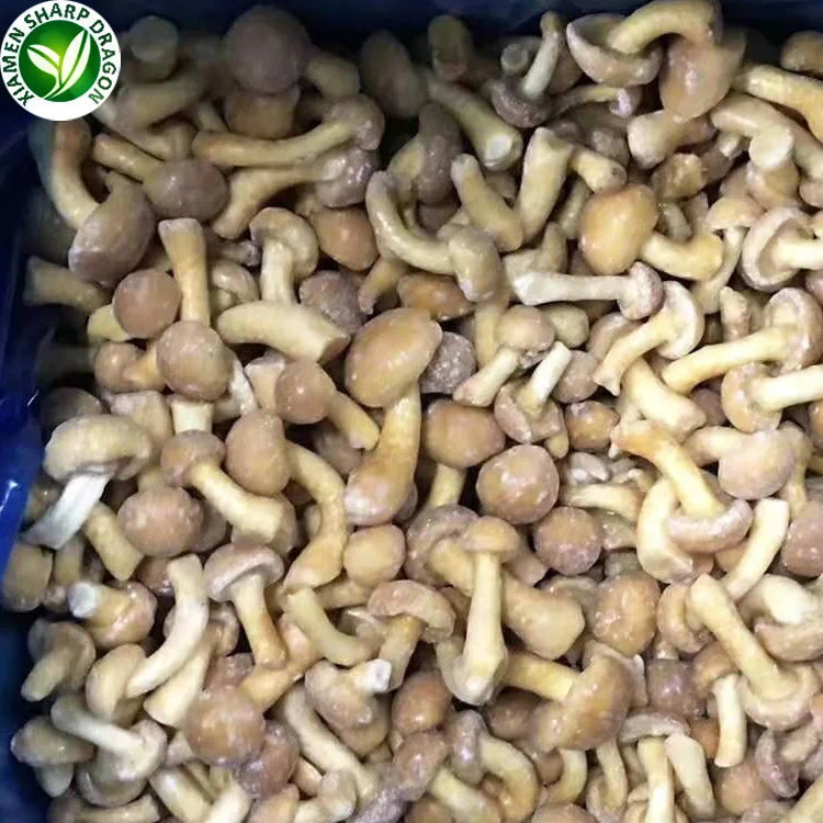 Торговцы продают Дикорастущие замороженные грибы IQF Nameko органические оптом сертифицированные по BRC оптовая цена полезные натуральные питательные