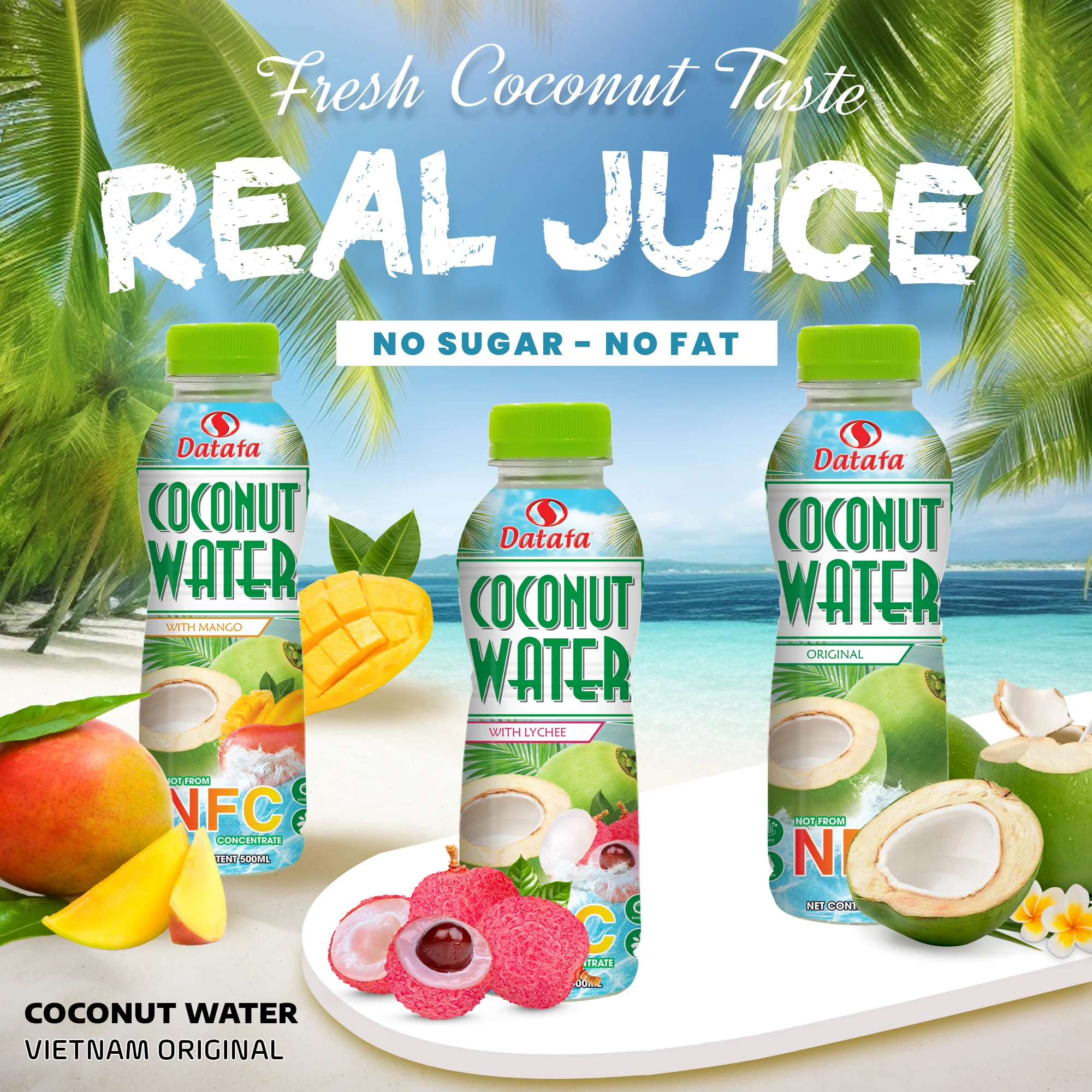 Coconut Drink Nfc Health Supplement Fruit Vegetable Juice Haccp Certification Customized Packaging No Sugar Vietnam
