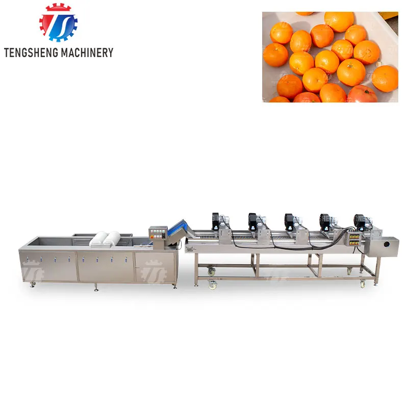Industrial Machinery Automatic Mango Fruits Cleaning And Drying Production Line Fruit And Vegetable Air Drying Machine