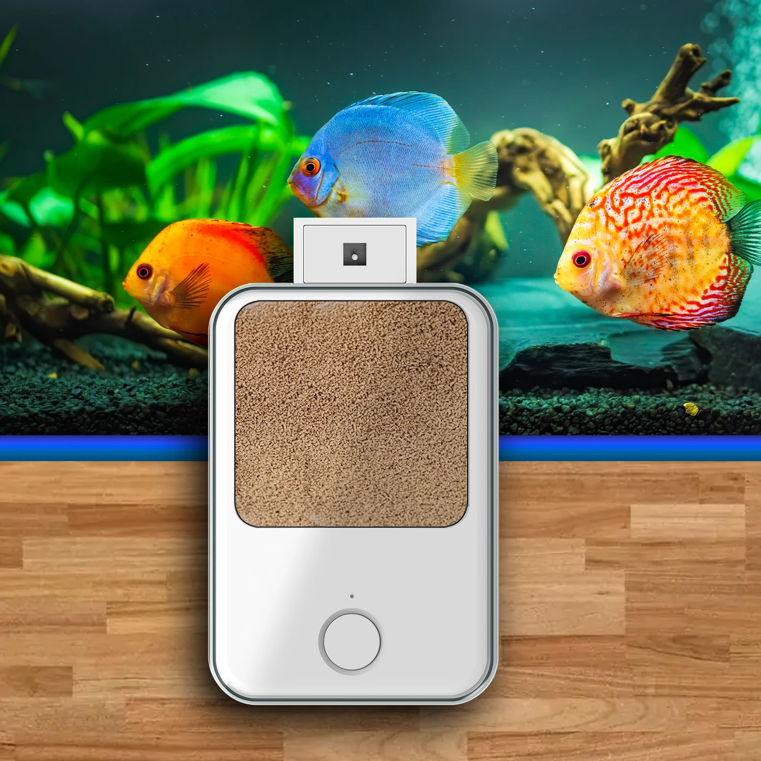 Wholesale Hot Sale Fish Feeder with Three Feeding Sizes are Suitable for a Variety of Fish and Turtles