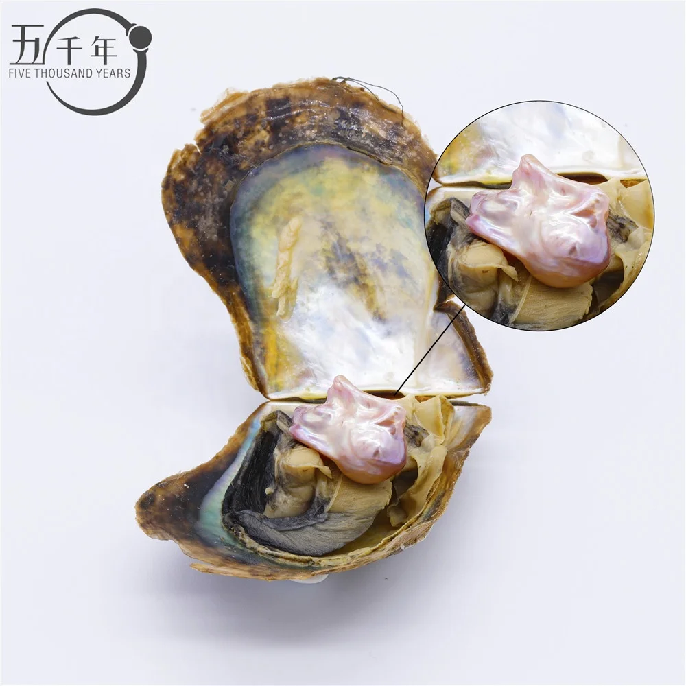 Wholesale real natural AAA grade freshwater baroque shaped pearl in akoya oyster 1 pearl in per akoya oyster with Vacuum-Packed