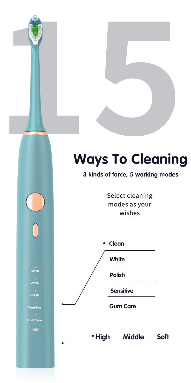 Chinese Factory OEM Sonic Pulsing Smart Electronic Toothbrush with Replacement Heads