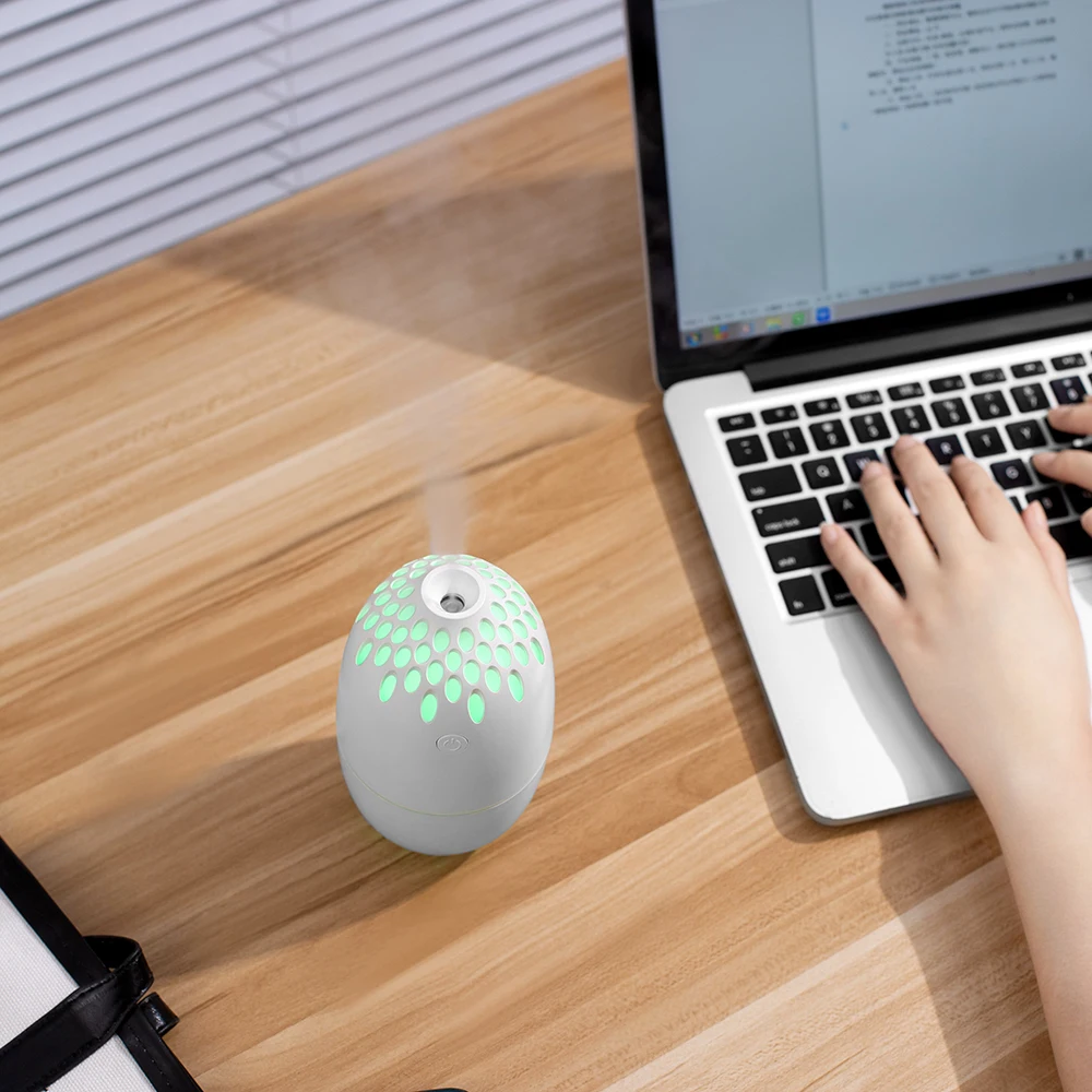 2024 Hot Sale Home Appliance Auto Power Off 250mL Water Tank Air Humidifier Portable 2 Levels Fog Volume Humidistat Evaporative