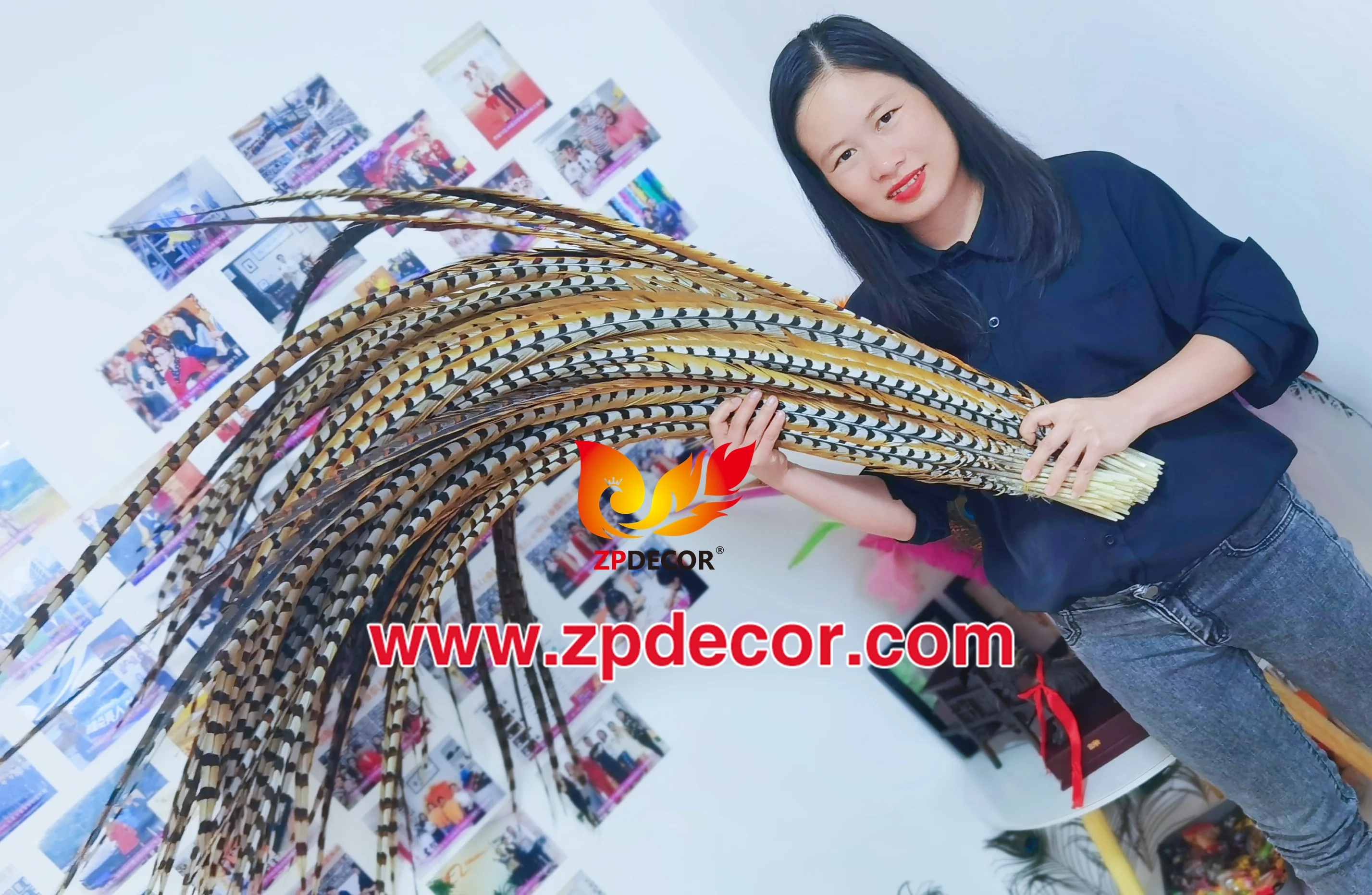 Zpdecor Feathers Wholesale Stock Super Long Natural Reeve Pheasant Tail Feathers for Carnival Costumes