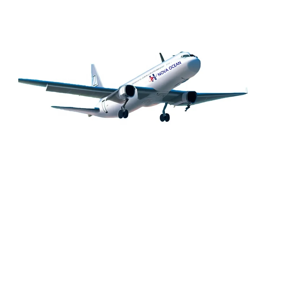 Professional Transport Service Door to Door Delivery Shipping to USA Italy Canada UK Russia UAE Saudi Arabia
