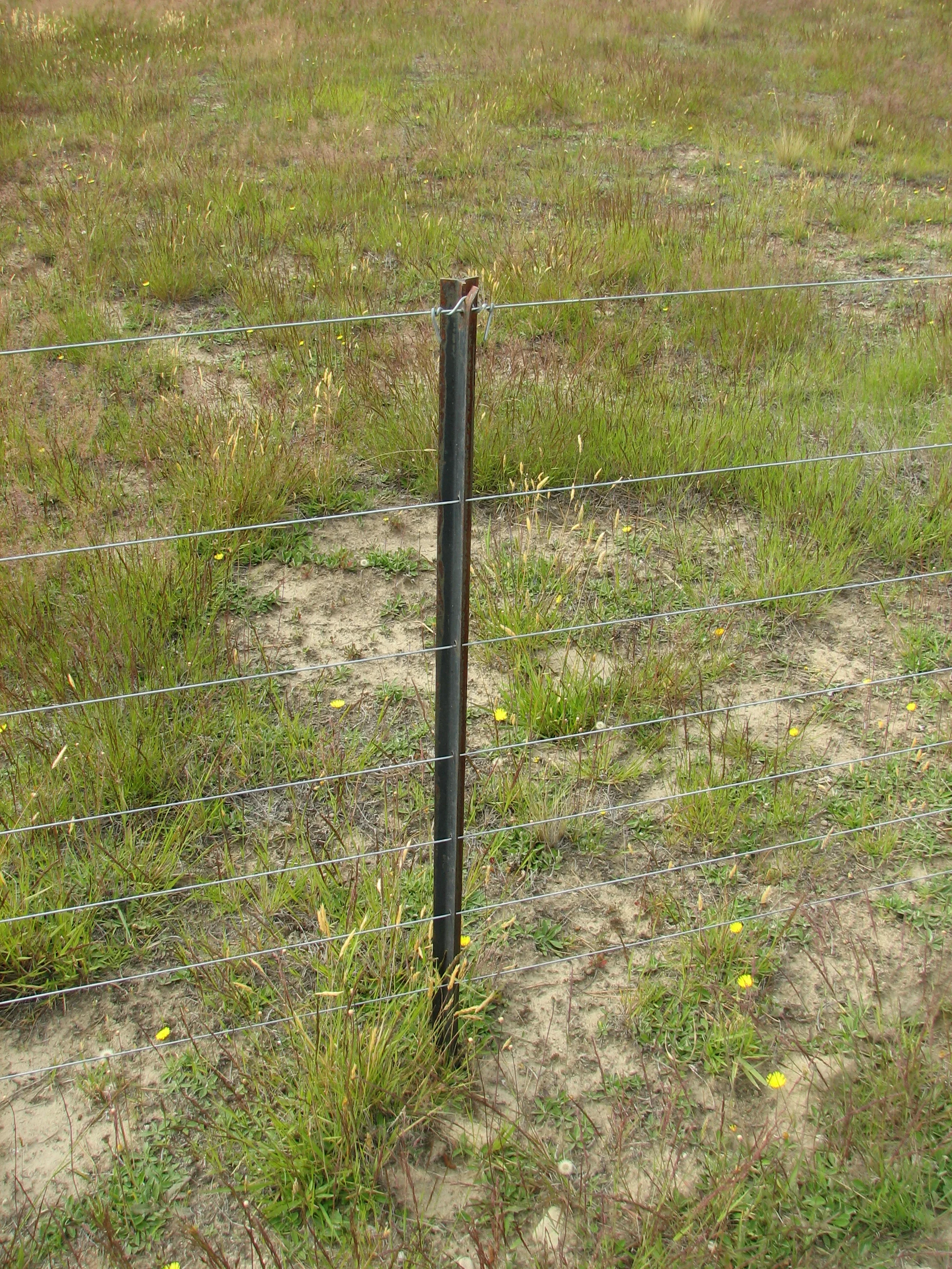 BOCN Direct factory 6 ft T_Fence_Post barbed wire Used Galvanized American Farm Steel Iron Green Metal T Post