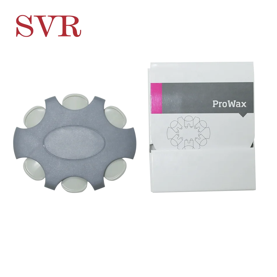 Hearing Aid Wax Guards Wax filter traps ProWax Prevents Earwax Cerumen Oticon Bernafon CIC and RIC RITE Hearing Aids