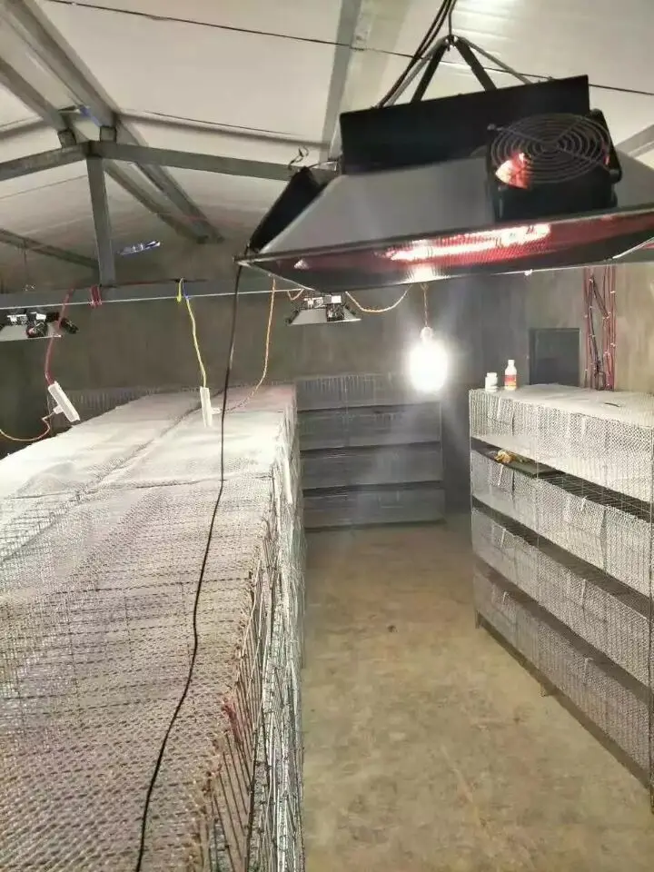 electric poultry brooder with warming light HJ-YCD10