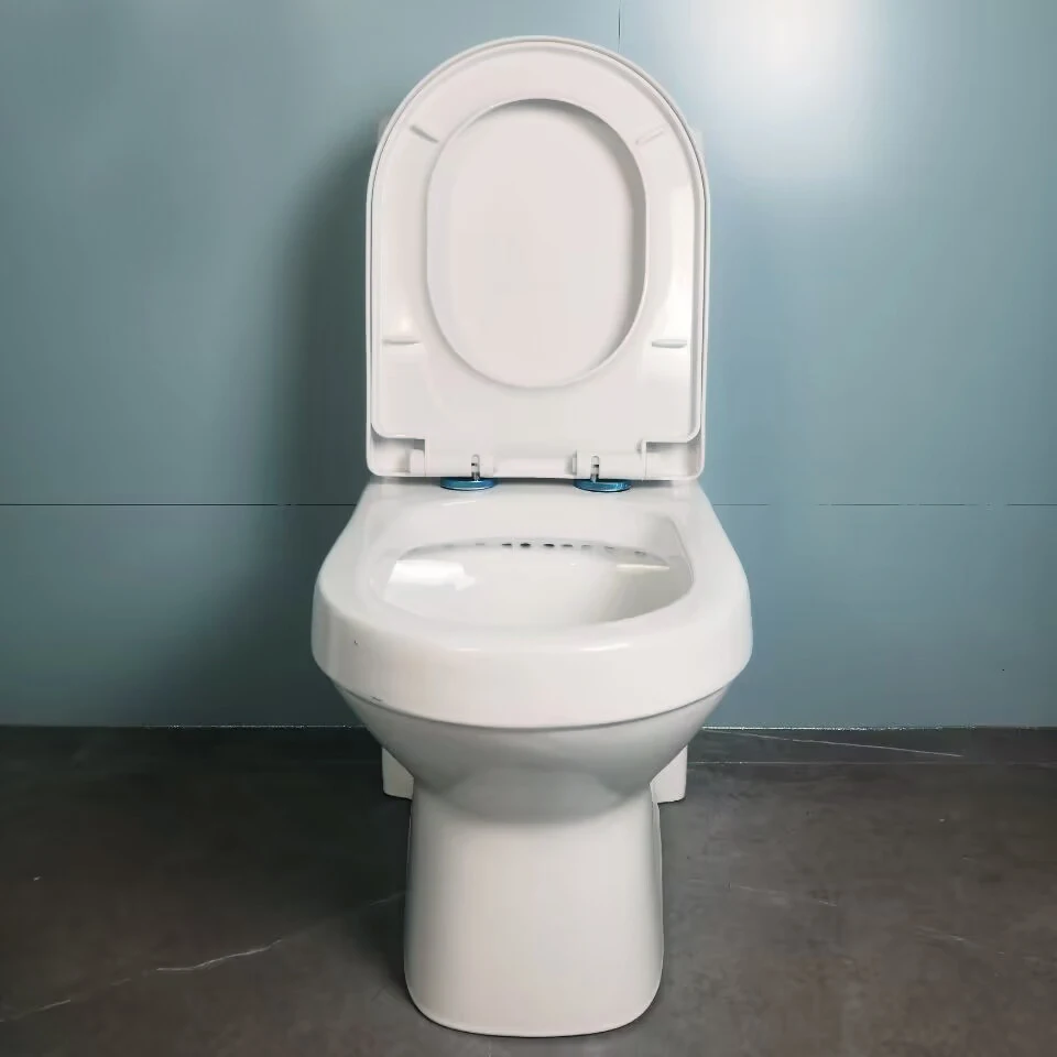 personal production line ceramic water closet toilet big size