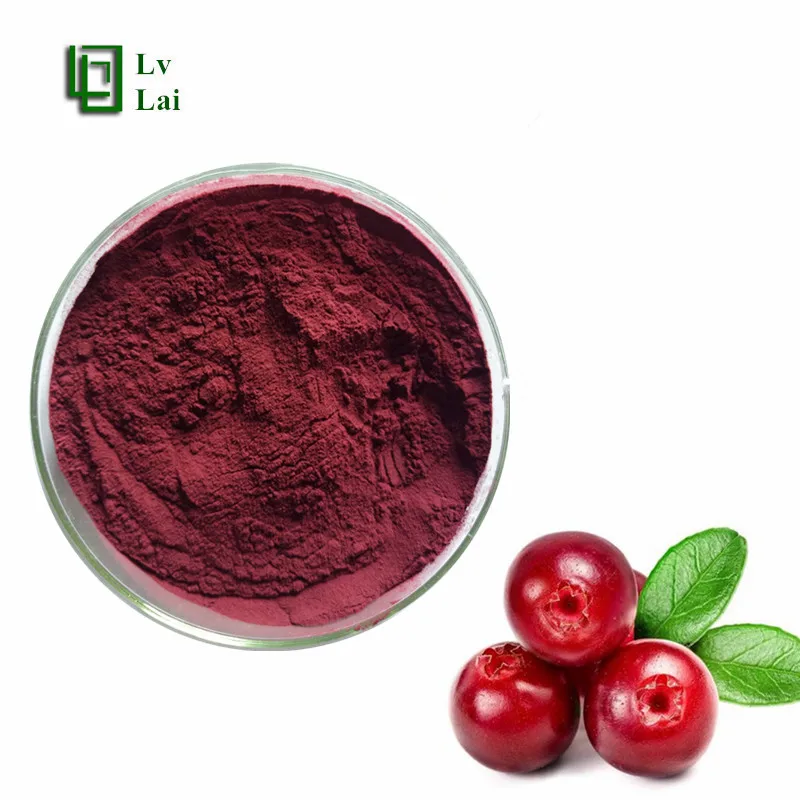 Hot Sales Food Grade Pure Natural Wholesale Concentrate Fruit Juice Cranberry Powder