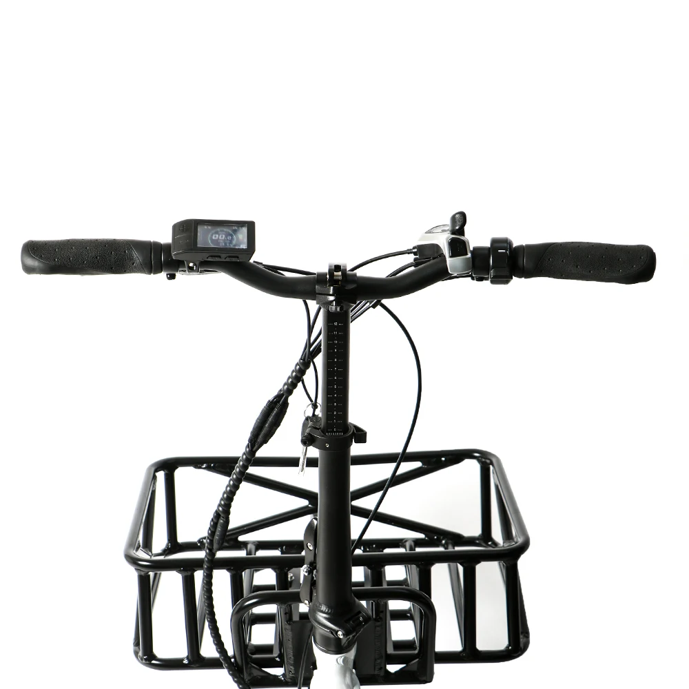 BTN 48V750W MAX-CARGO Drop Shipping family Wagon or Ubereats delivery Using long trail 2 Wheel Electric Cargo