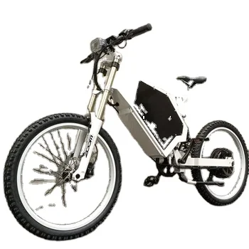 Electric bike for Men and women electric mountain bike, popular 7 Speed e bike e bicycle Electric Bicycle