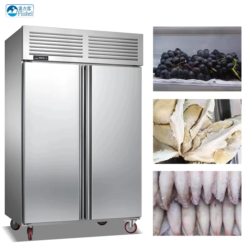 Refrigeration Equipment Stainless Steel Direct Cooling Kitchen Equipment Reach-in Freezer For Sea and Fish Food Refrigerator
