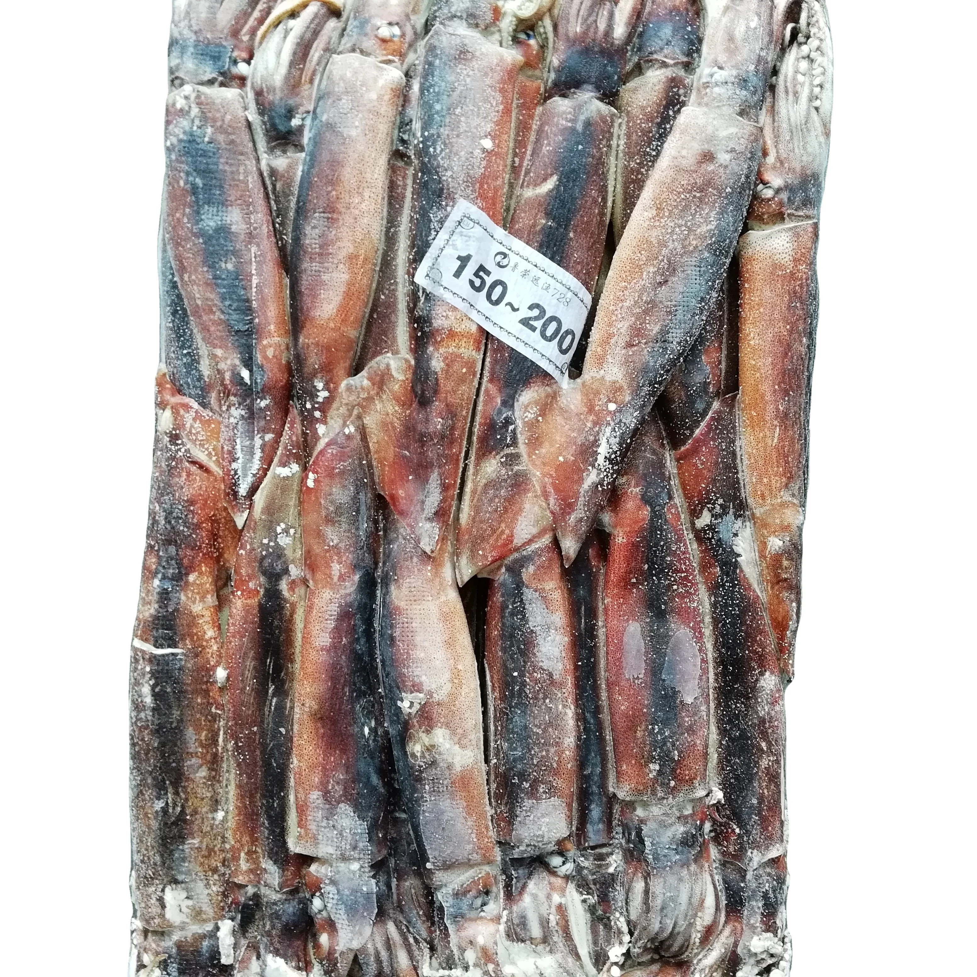 2022 New Arrivals Frozen Squid Whole Round Cumi Squid Fresh 100g BQF Illex Squid For Thailand Market