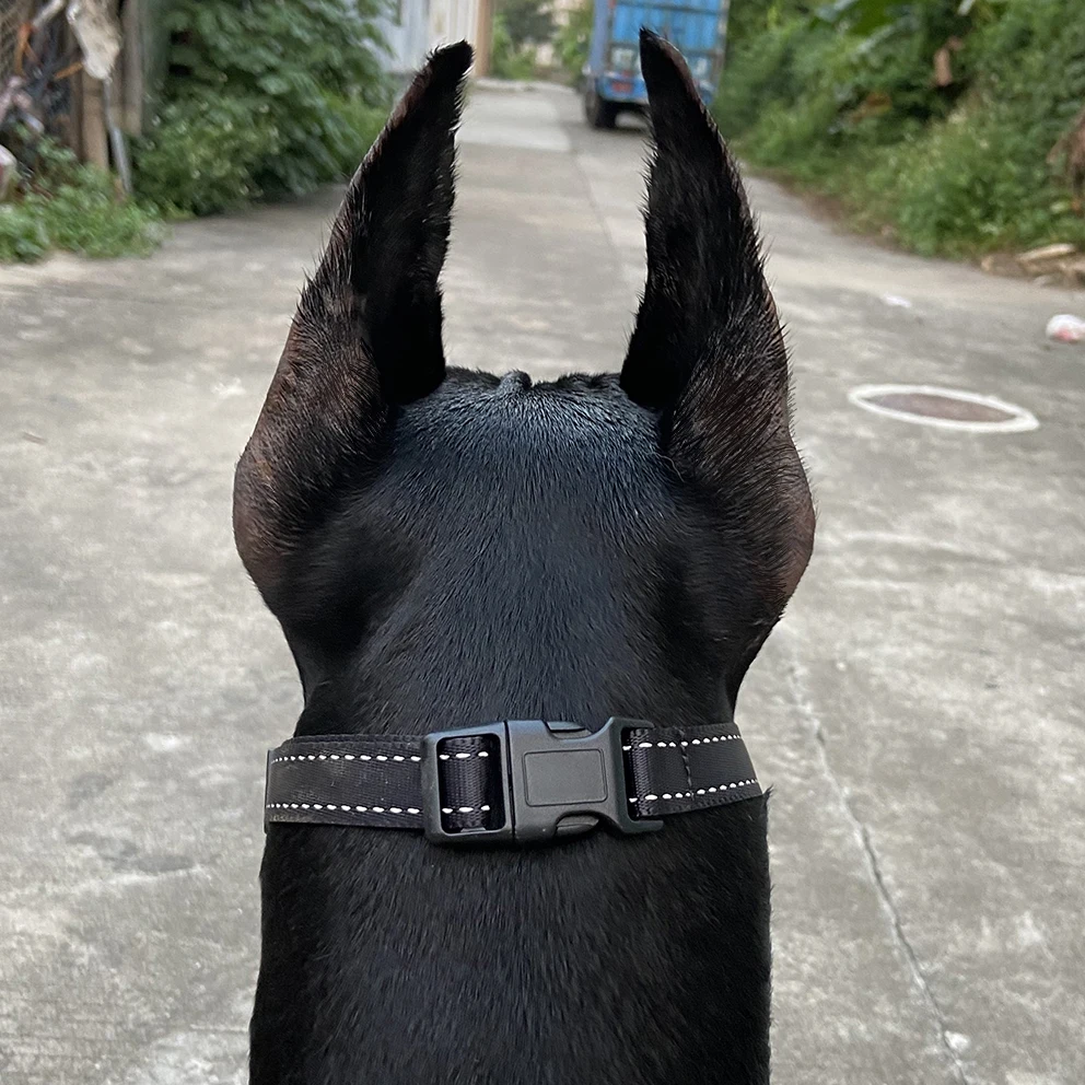 Factory OEM ODM anti biting stop chewing bark dog pet muzzle TPE and nylon dog muzzle