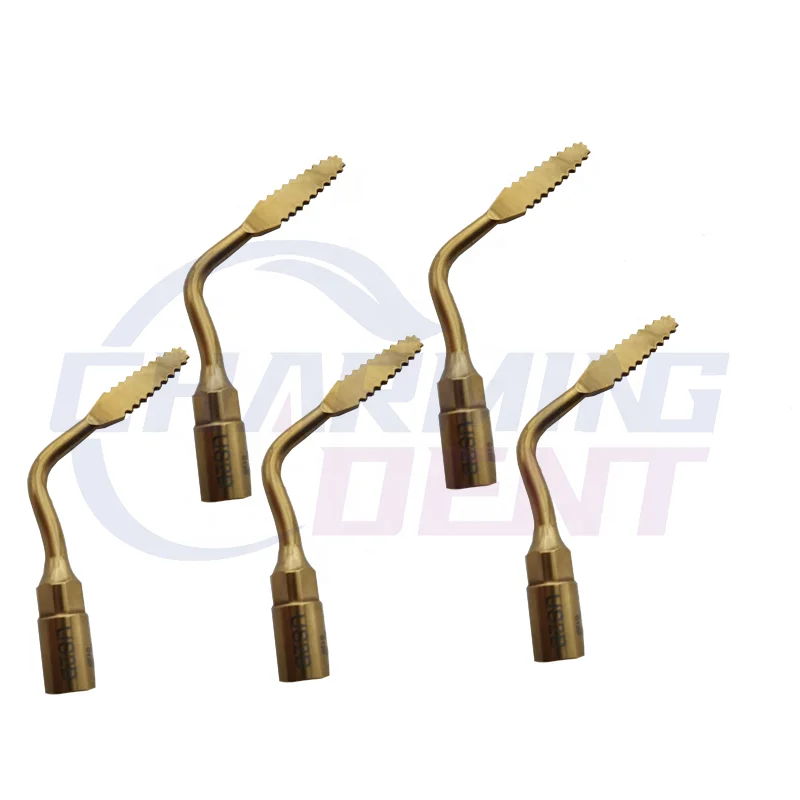 Dental instrument ultrasonic piezo bone surgery machine tips / Piezosurgery tips micro saw ultrasurgery insert