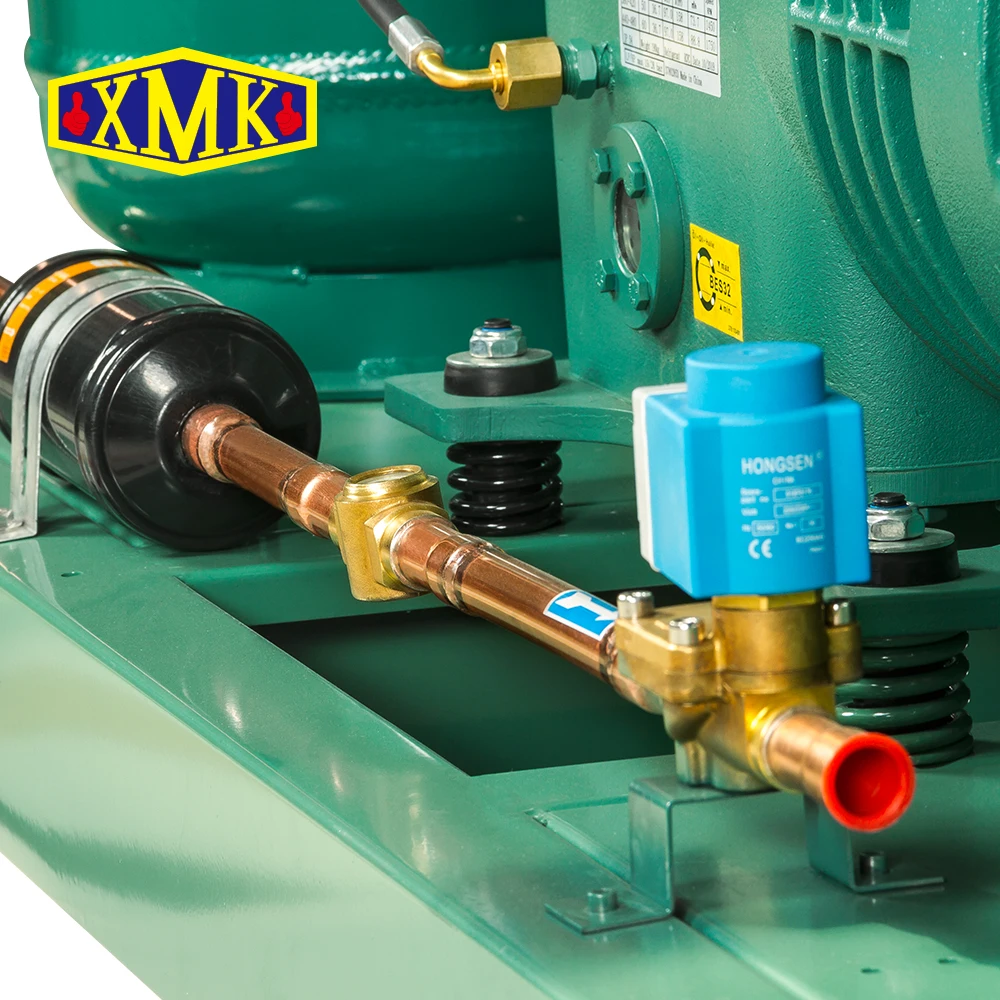 Transport and Storage open type condensing unit for cold storage