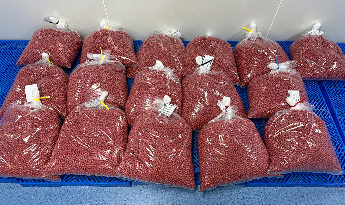 Лучшее качество Oem крилевое масло красные дрожжевые капсулы с экстрактом риса женские добавки