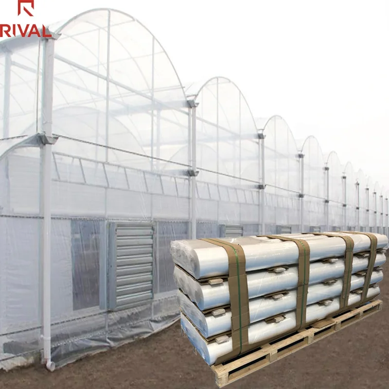 High quality transparent 200 micron plastic greenhouse covering film Green House Plastic Film