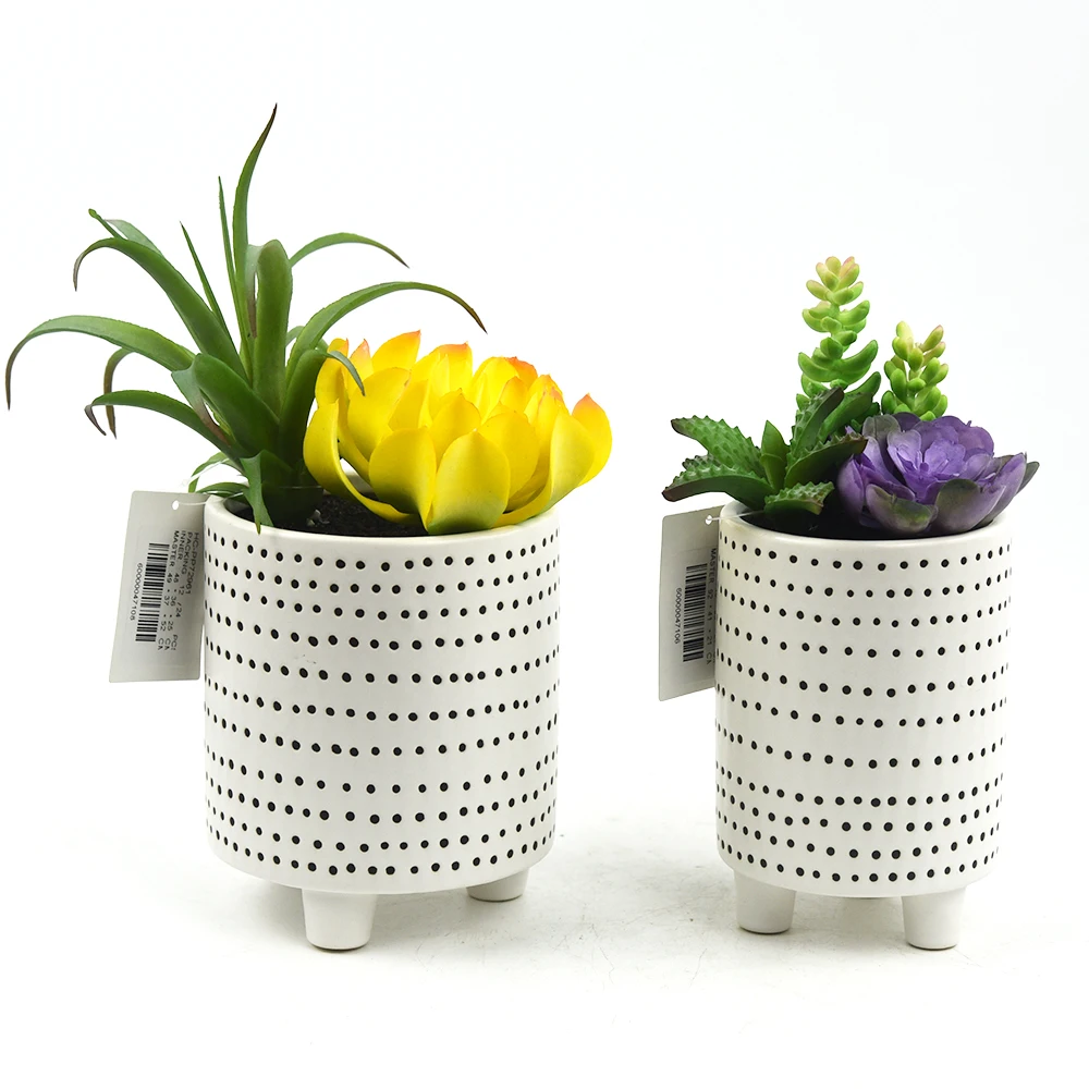 Wholesale echeveria artificial succulent plants natural with ceramics pots